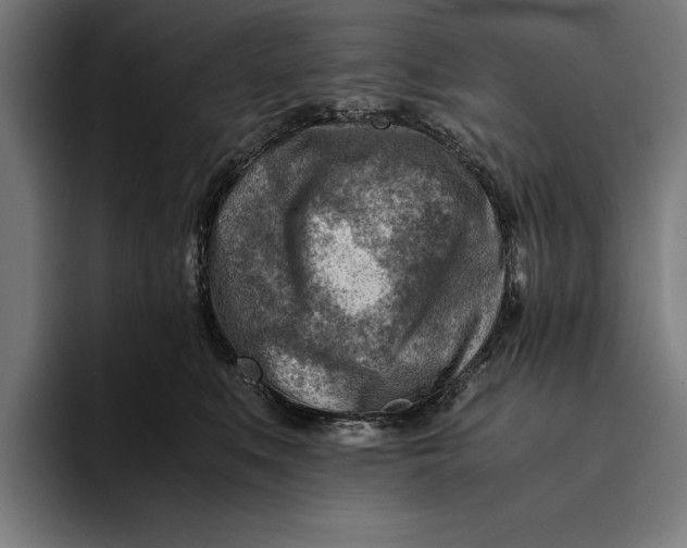 X0000094800519200712071208