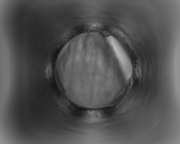 X0000094800520200712071208