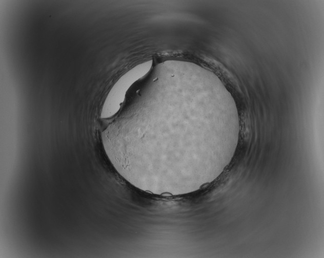 X0000094800523200712071208