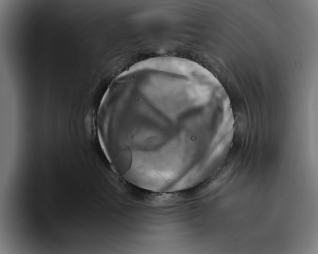 X0000094800527200712071208