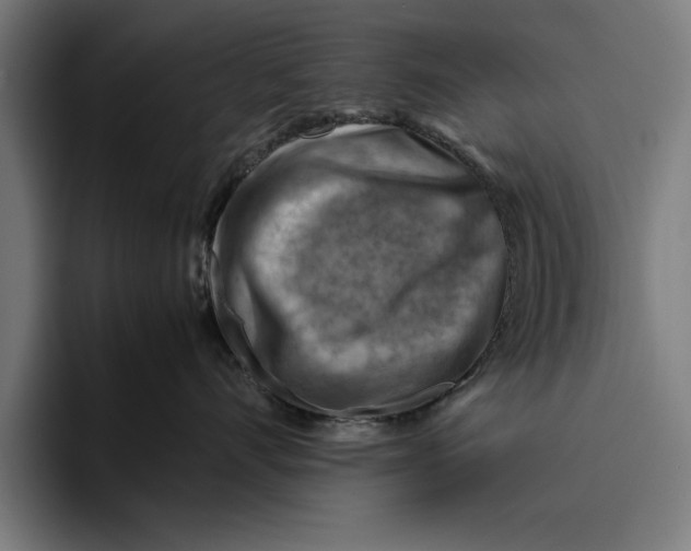 X0000094800528200712071208