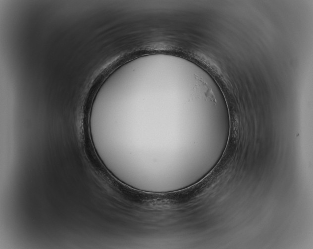 X0000094800535200712071207