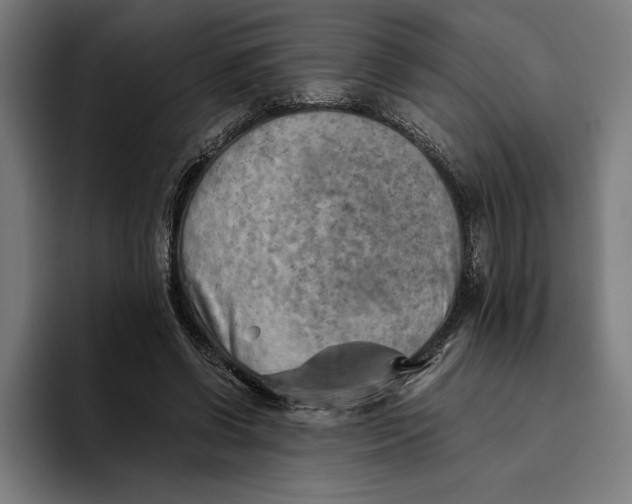 X0000094800542200712071207