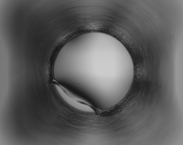 X0000094800544200712071207