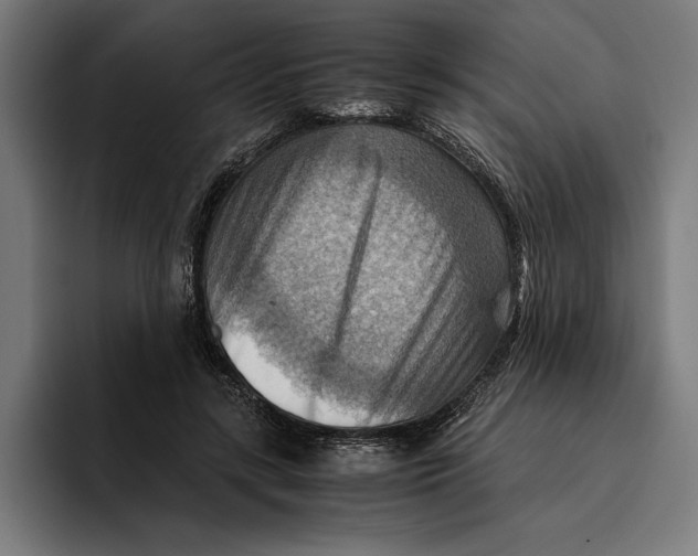 X0000094800547200712071207