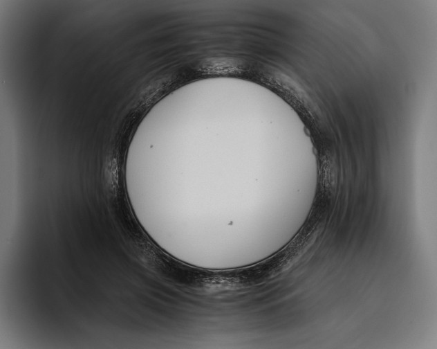 X0000094800549200712071207