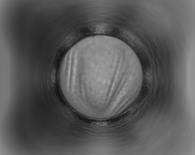 X0000094800554200712071207