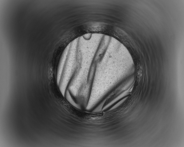 X0000094800555200712071207