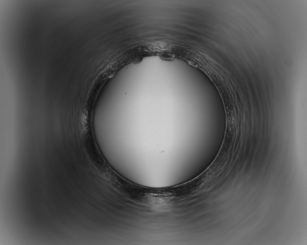 X0000094800556200712071207