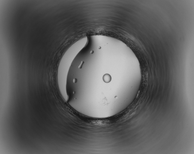 X0000094800558200712071207