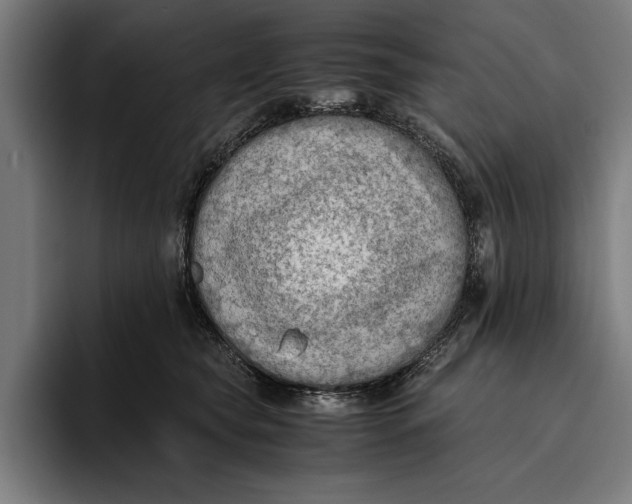 X0000094800565200712071208