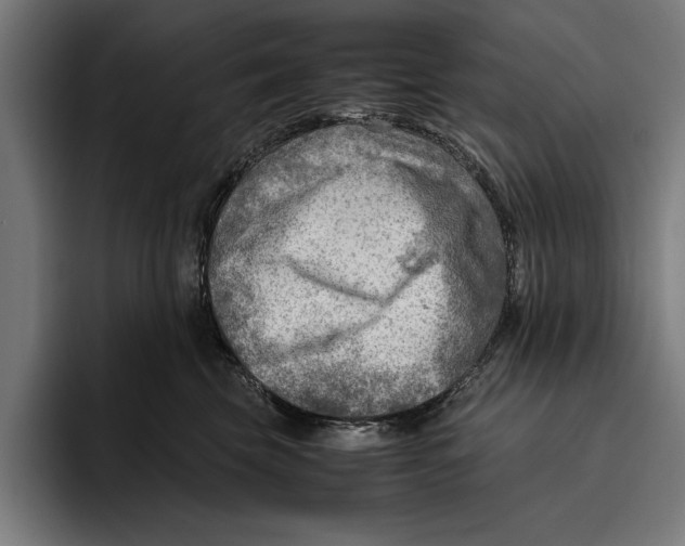 X0000094800569200712071208