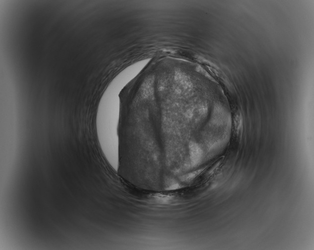 X0000094800570200712071208