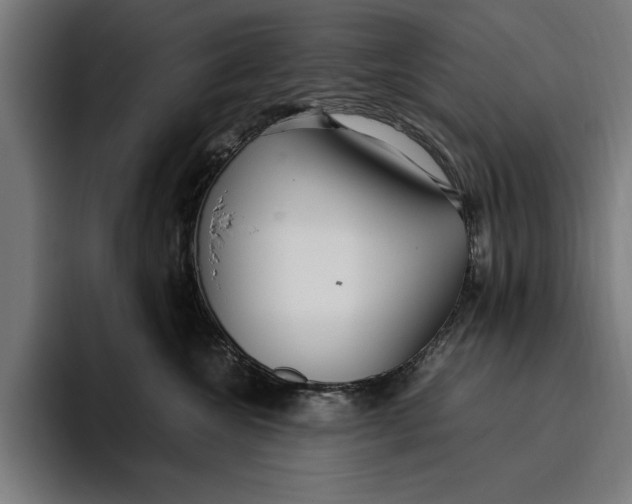 X0000094800572200712071208