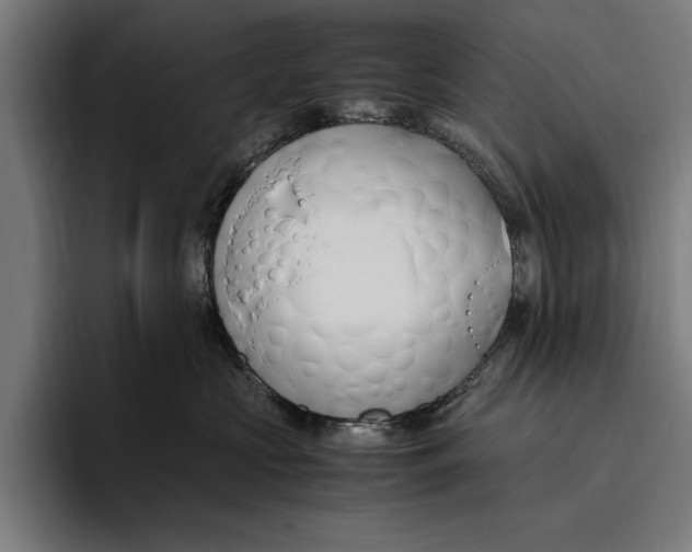 X0000094800573200712071208