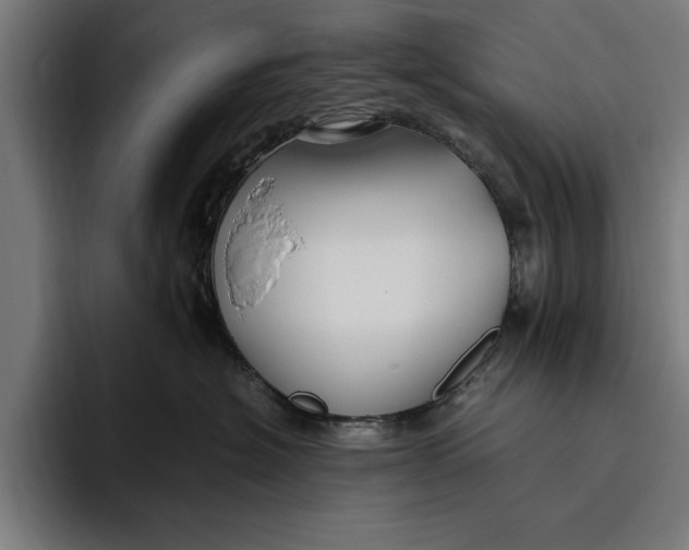 X0000094800574200712071208