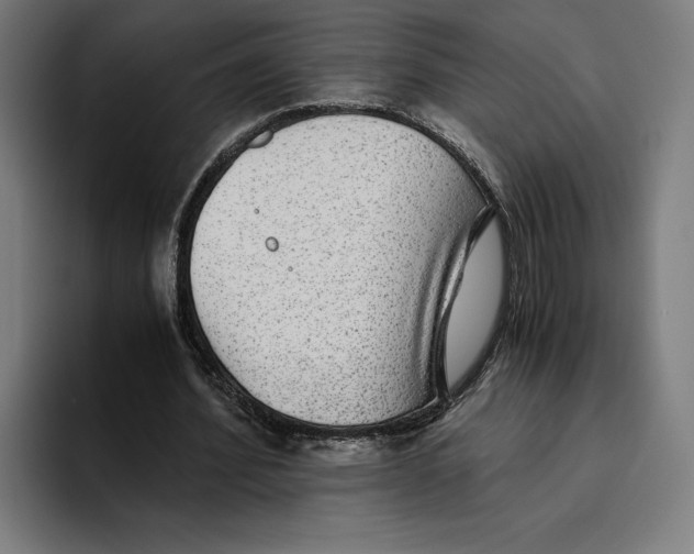 X0000094800580200712071207