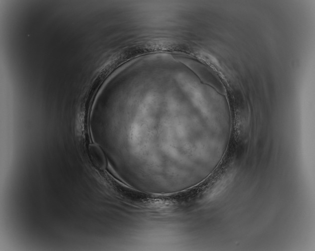 X0000094800585200712071207