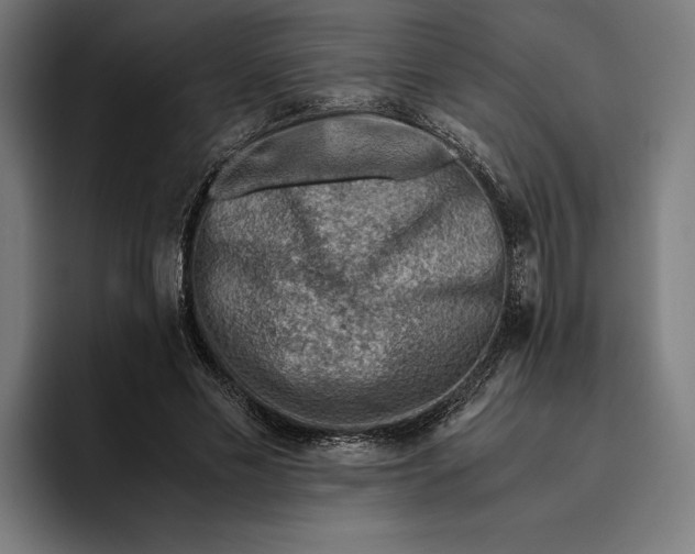 X0000094800589200712071207