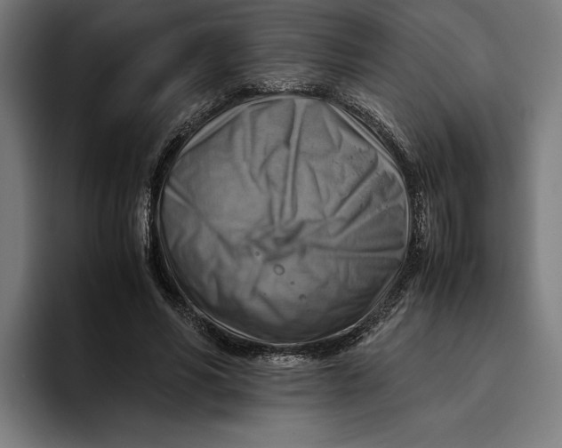 X0000094800590200712071207