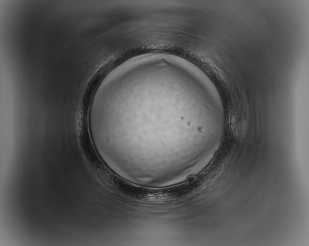 X0000094800591200712071207