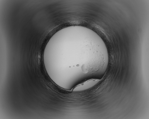 X0000094800596200712071207