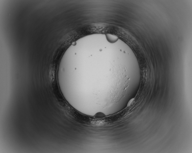 X0000094800602200712071207