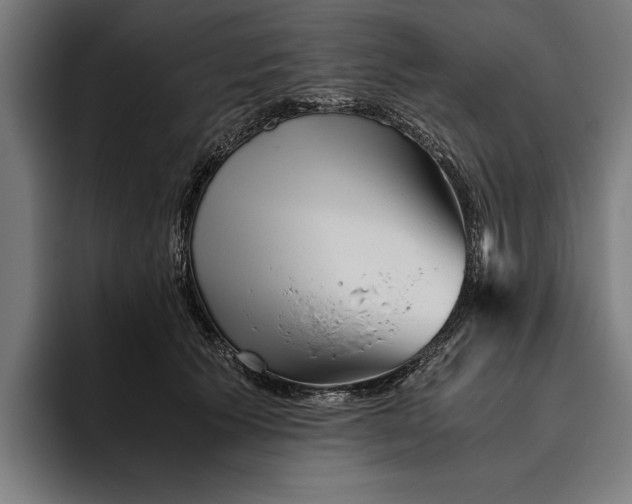 X0000094800609200712071207