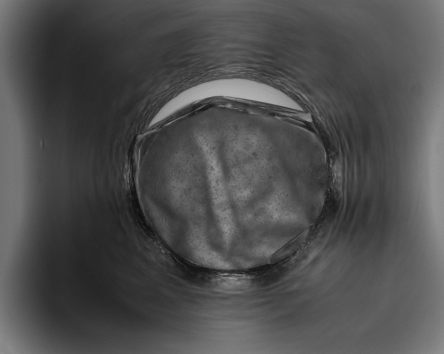 X0000094800617200712071206