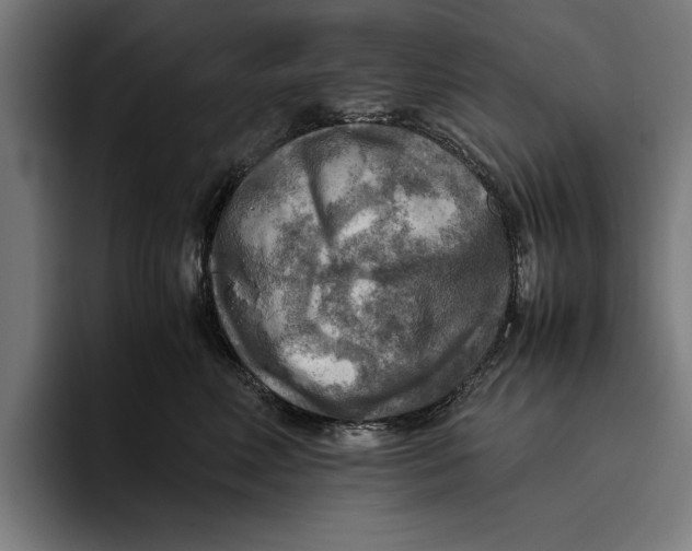 X0000094800618200712071206