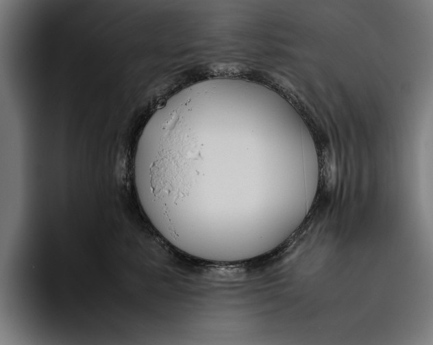 X0000094800619200712071206