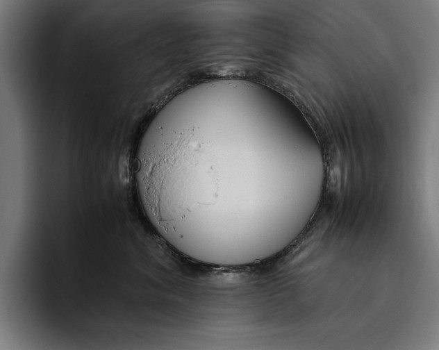 X0000094800620200712071206