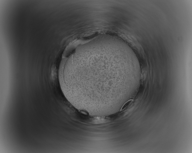 X0000094800623200712071206