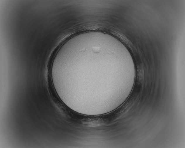 X0000094800626200712071206