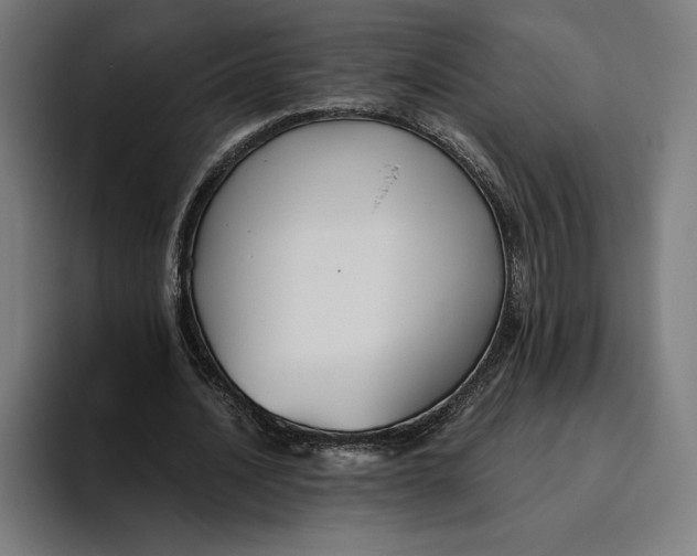 X0000094800628200712071206