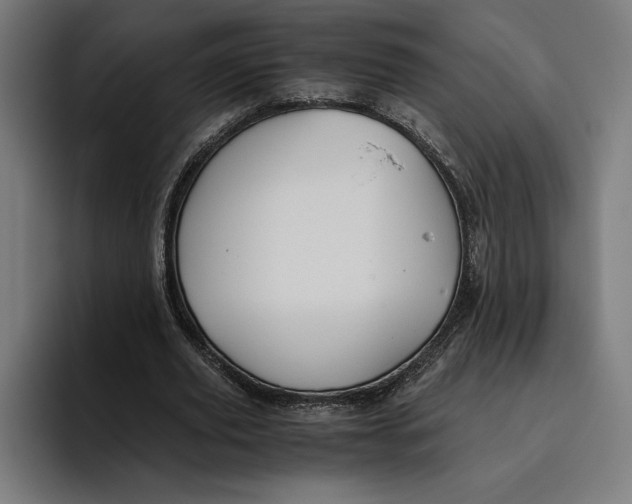 X0000094800629200712071206