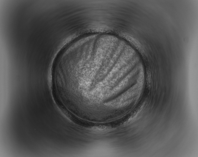 X0000094800630200712071206