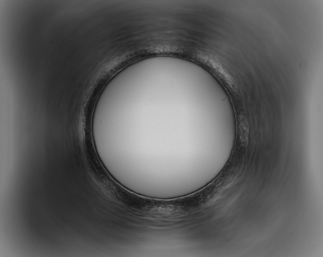 X0000094800631200712071206