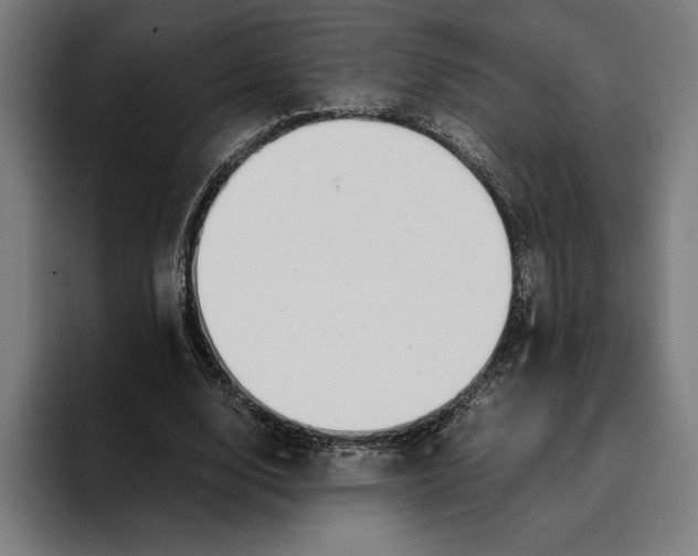 X0000094800632200712071206