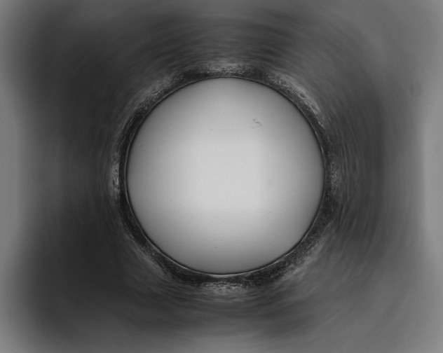 X0000094800633200712071206