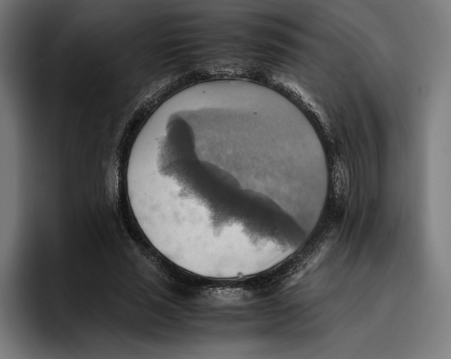 X0000094800637200712071206