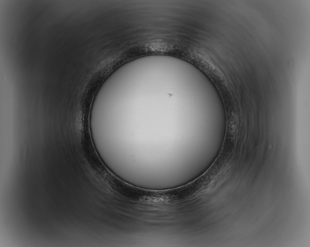 X0000094800639200712071206