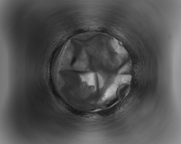 X0000094800642200712071206