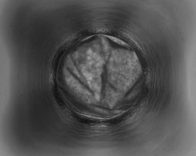 X0000094800643200712071206