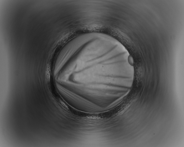 X0000094800644200712071206