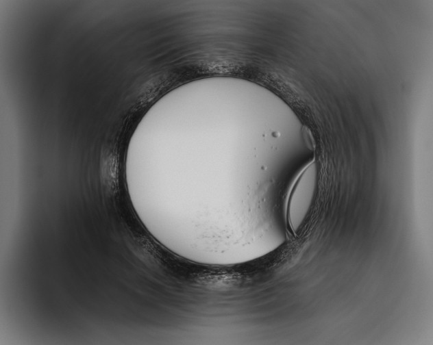 X0000094800646200712071206