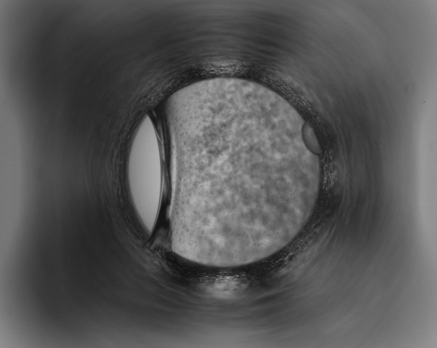 X0000094800647200712071206