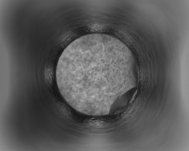 X0000094800648200712071206