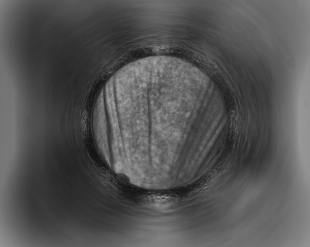 X0000094800650200712071206