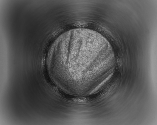 X0000094800652200712071206